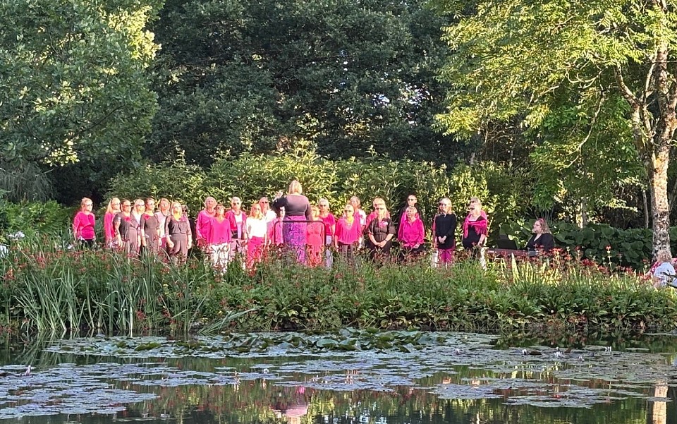 Longstock Park Water Gardens, June 2025